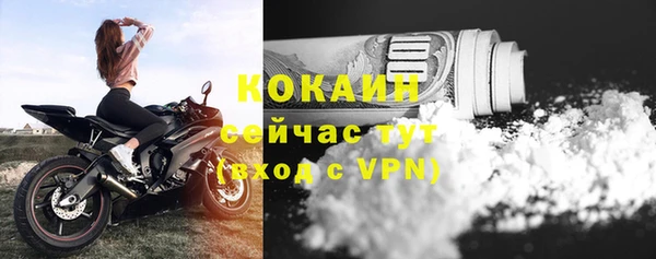 ПСИЛОЦИБИНОВЫЕ ГРИБЫ Саяногорск
