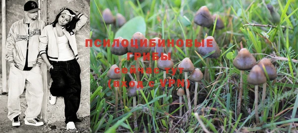 ПСИЛОЦИБИНОВЫЕ ГРИБЫ Саяногорск