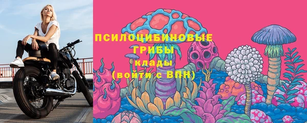 ПСИЛОЦИБИНОВЫЕ ГРИБЫ Саяногорск